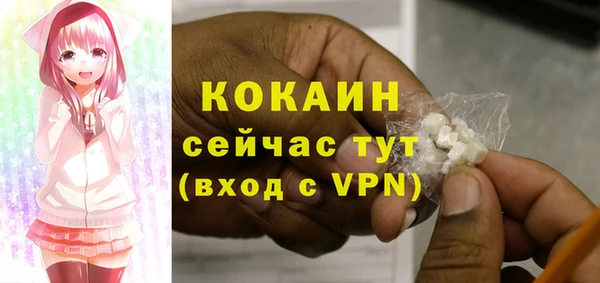спиды Богородск