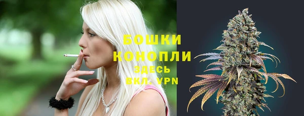 спиды Богородск