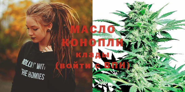 индика Семикаракорск