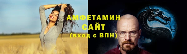 спиды Богородск