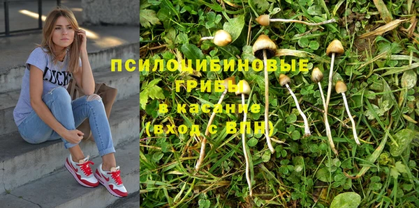 apvp Богородицк