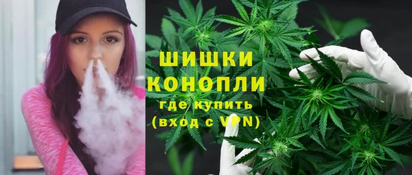 спиды Богородск