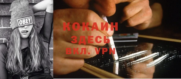 мет Семилуки