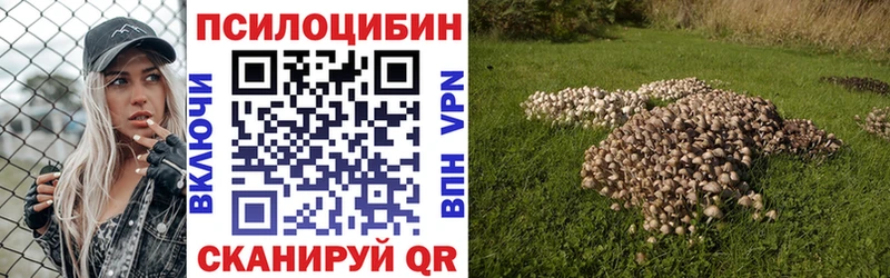 Псилоцибиновые грибы Psilocybine cubensis  купить наркоту  Козельск 