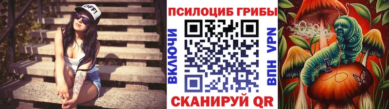 Псилоцибиновые грибы GOLDEN TEACHER Козельск